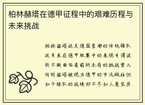 柏林赫塔在德甲征程中的艰难历程与未来挑战